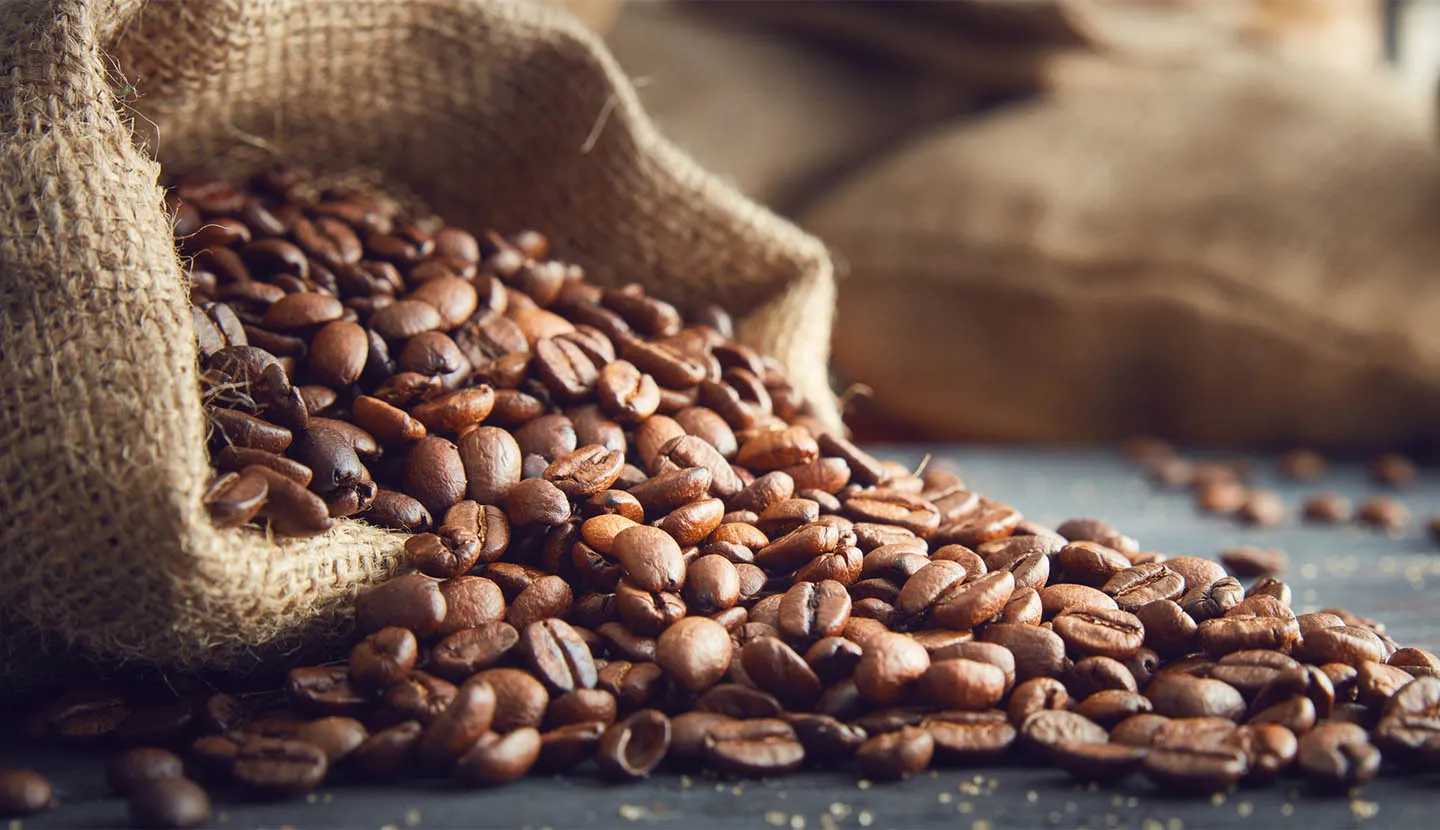 Coffee beans spilling from a burlap sack